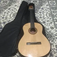 گیتار پویا حرفه ای|گیتار، بیس، امپلیفایر|خمینی‌شهر, |دیوار