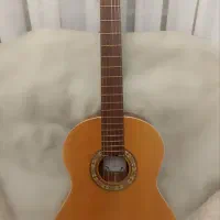 گیتار Parsi P80