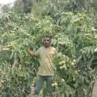 فروش تضمینی