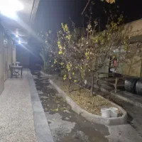 استخدام آشپز و تخته کار و کمکی