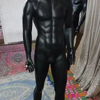 مانکن و چوب رختی|فروشگاه و مغازه|تبریز, |دیوار