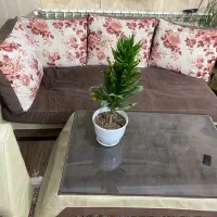 مبل راحتی|مبلمان خانگی و میز عسلی|مشهد, نیروی هوایی|دیوار