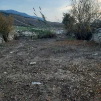 زمین باغی|فروش دفتر صنعتی، کشاورزی، تجاری|آزادشهر, |دیوار