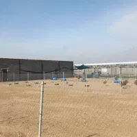 فروش ۶0000 هزار متر مزرعه پرورش شترمرغ فسا|فروش دفتر صنعتی، کشاورزی، تجاری|شیراز, قدوسی شرقی|دیوار