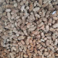 توت خشک  شیرین