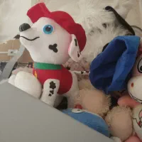 عروسک پلیشی نو