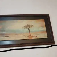 دو عدد تابلو یکی آیة ااکرسی یکی هم منظره