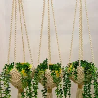 گل و گیاه|گل و گیاه طبیعی|تهران, شهرک شریعتی|دیوار