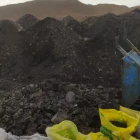 کود کشاورزی هیومیک اسید لوناردیت|خدمات باغبانی و درختکاری|تربت جام, جامرود|دیوار