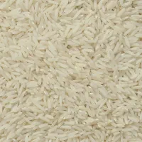 برنج هاشمی امساله سالم ودرشت