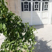 اجاره طبقه۲ از منزل۲طبقه‌۳خوابه میدان فرصت(تخلیه)|اجارهٔ آپارتمان|شیراز, پودنک|دیوار