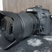 دوربین عکاسی نیکون D7100|دوربین عکاسی و فیلم‌برداری|رشت, حمیدیان|دیوار