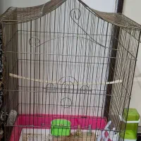 قفس بزرگ عروس هلندی|لوازم جانبی حیوانات|تهران, بیسیم|دیوار