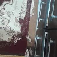 فرش 700 شانه|فرش|شاهین‌شهر, خانه کارگر|دیوار