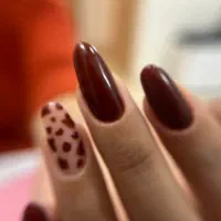 تخفیف ویژه به مناسبت شب یلدا|خدمات آرایشگری و زیبایی|نیشابور, دارایی|دیوار