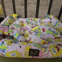 تشک گربه یا سگ|لوازم جانبی حیوانات|شیراز, جانبازان|دیوار