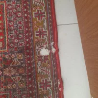فرش وگلیم فرش|فرش|کرمانشاه, |دیوار