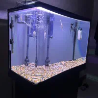 اکواریوم ۶۰در۴۰|ماهی|تهران, ویلاشهر|دیوار