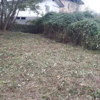 علفتراشی با دستگاه علفتراش|خدمات باغبانی و درختکاری|کلاچای, |دیوار