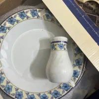 سرویس چینی ۹ پارچه|ظروف سرو و پذیرایی|شاهینشهر, شهرک هشت بهشت|دیوار