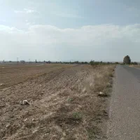 زمین