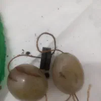 سنگ برد در زمینه مالی روابط و معامله