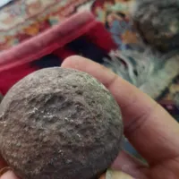 شهابسنگ وفسیل چن میلیون ساله|کلکسیون اشیاء عتیقه|دلیجان, |دیوار