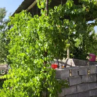 باغ 2000 متری سامان