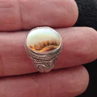 شجرقائن|جواهرات|خرم‌آباد, |دیوار