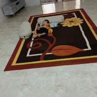 گلیم 6متری