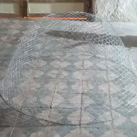 دماغه و گرگور بوشهری اماراتی خصاکی 30دور