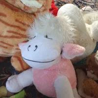 خرسی|اسباببازی|سقز, |دیوار