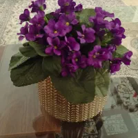 تعدادی گل و گلدان فروشی
