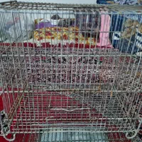 قفس سهره