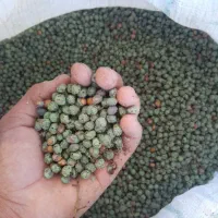 بن درجه یک|خوردنی و آشامیدنی|مسجد سلیمان, |دیوار