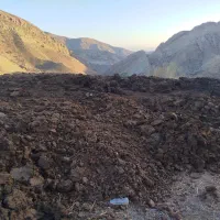 پهن گاو بدون اهک
