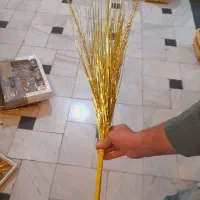 گل های ریسه ای طلایی گندمی اک