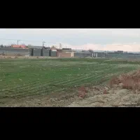 زمین باغی در شهر سیداباد امام‌رضا 22