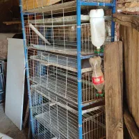 قفس پرندگان|لوازم جانبی حیوانات|جوانرود, |دیوار