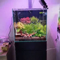 اکواریوم ریملس سوپر کلیر