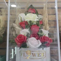 فروشنده خانم قنادی