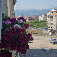 جاگلدانی|صنایع دستی و سایر لوازم تزئینی|تالش, هشتپر|دیوار