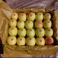 سیب کوهپایه|خوردنی و آشامیدنی|سیلوانه, |دیوار