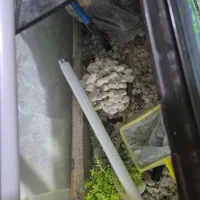 آکواریوم ۱۱۰در ۵۰ در ۴۰|ماهی|زنجان, |دیوار