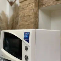 ماکروفر دلونگی