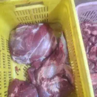 گوشت گوساله ممتاز با تحویل رایگان|خوردنی و آشامیدنی|تهران, دیلمان|دیوار