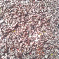 مویز گوشتی،لیمو خشک