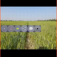 اجاره ۸ هکتار زمین کشاورزی با آب چاه فول|اجارهٔ دفتر صنعتی، کشاورزی، تجاری|برازجان, |دیوار