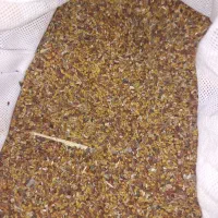 بذرینجو