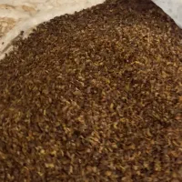 کشمیش خلیل اباد